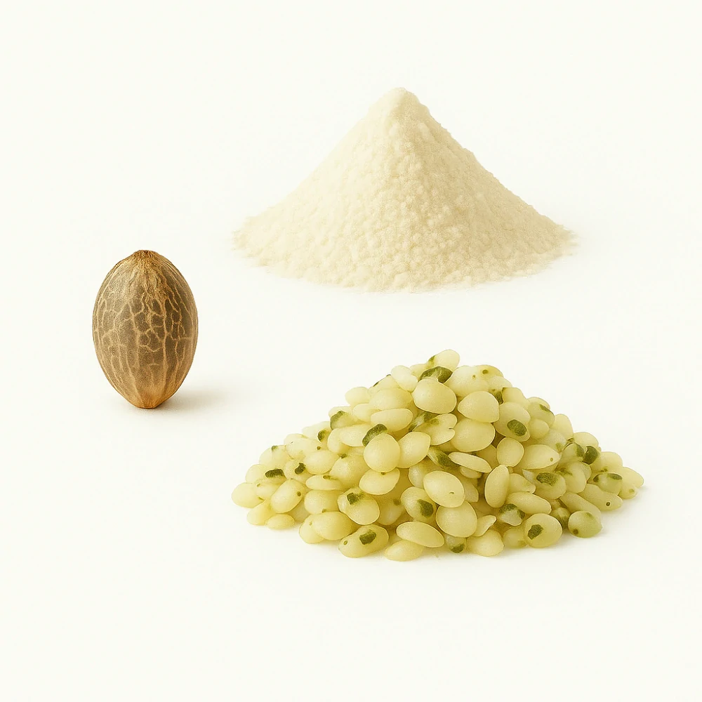 Edestin (Svaly, Kosti, Imunita)