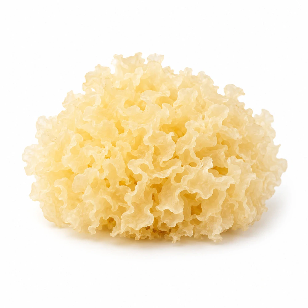 Tremella PRO (Hydratace, Krása, Pružnost pleti)