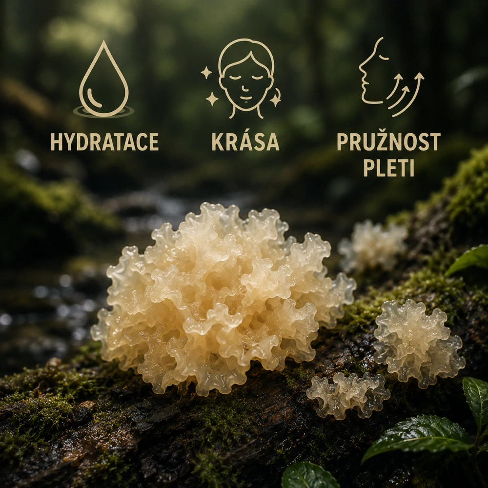 Tremella PRO (Hydratace, Krása, Pružnost pleti)