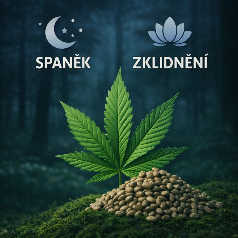 CBD Kapsle (Spánek, Zklidnění)
