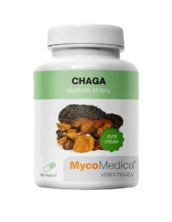 Chaga  (Imunita, Odolnost, Přizpůsobení)